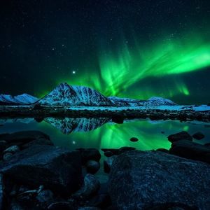 Meet your Posher, Northern